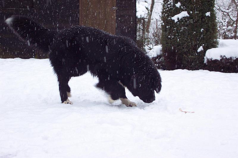 02-022-003 052.jpg